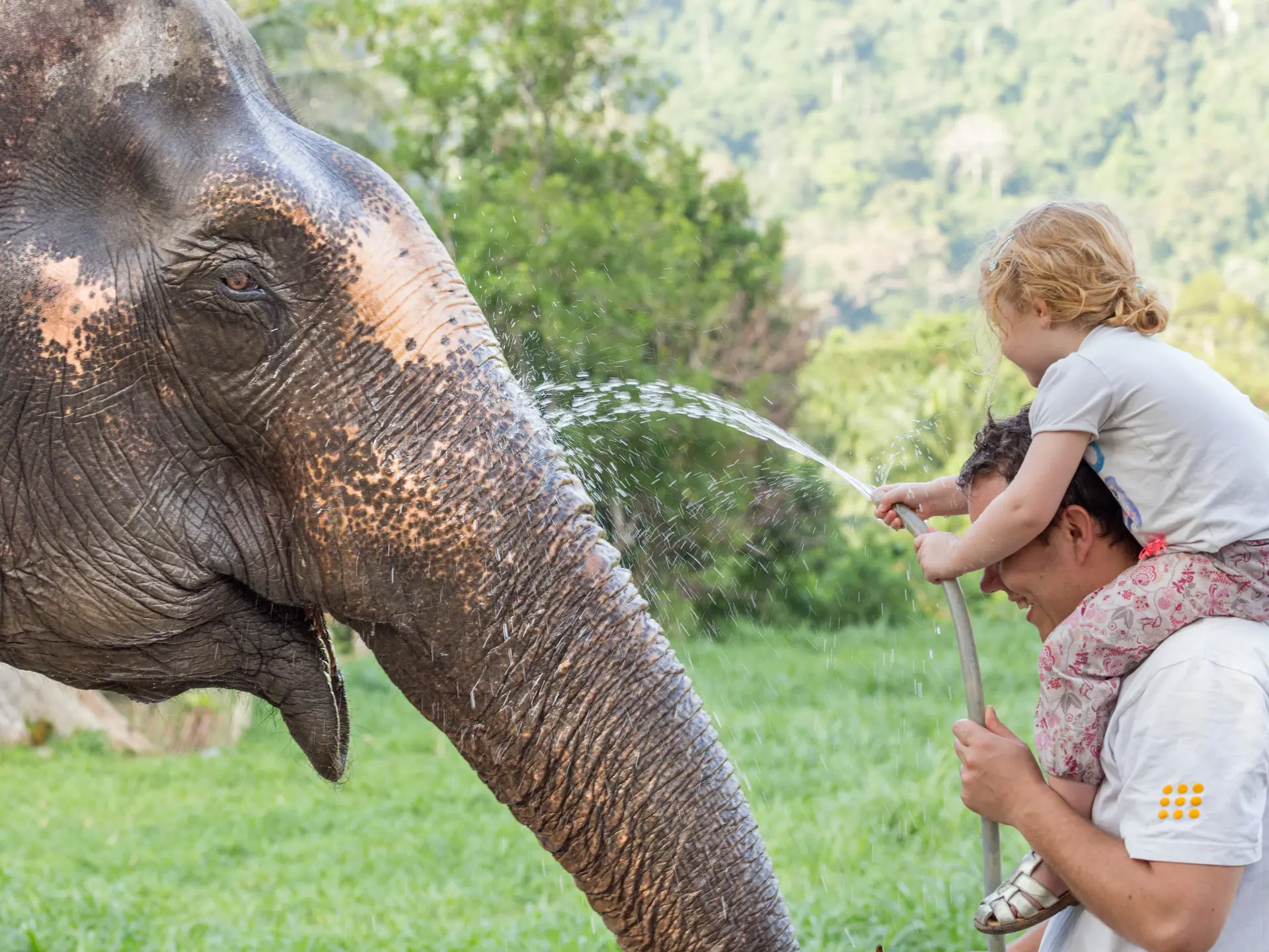 Ethical Elephant Experience at Elephant Hills with children.jpg